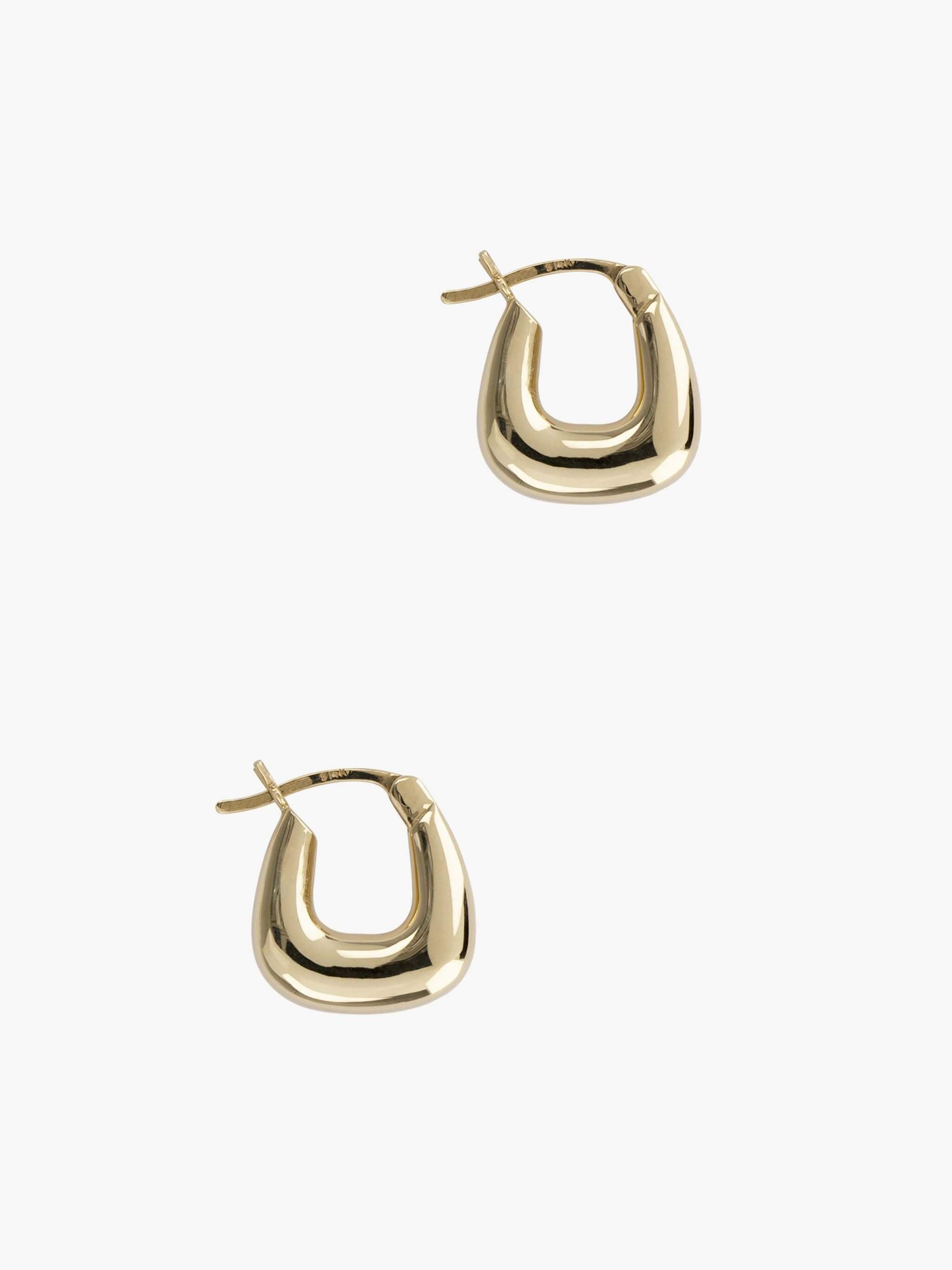 Graceful Hoop Earrings